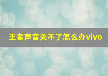 王者声音关不了怎么办vivo