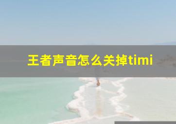 王者声音怎么关掉timi