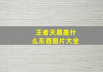 王者天幕是什么东西图片大全