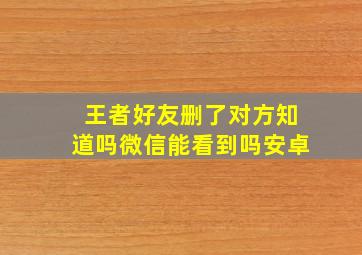 王者好友删了对方知道吗微信能看到吗安卓