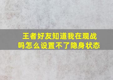 王者好友知道我在观战吗怎么设置不了隐身状态