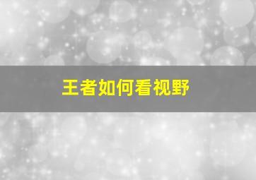 王者如何看视野