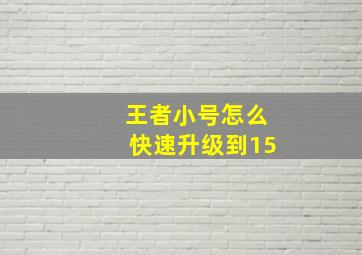 王者小号怎么快速升级到15