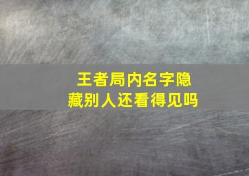 王者局内名字隐藏别人还看得见吗