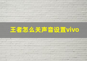 王者怎么关声音设置vivo