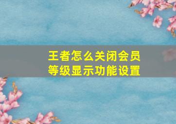 王者怎么关闭会员等级显示功能设置