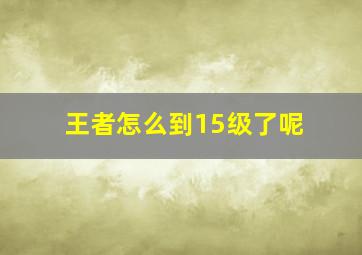 王者怎么到15级了呢