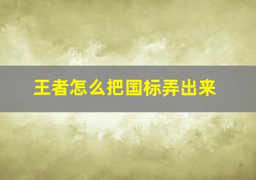 王者怎么把国标弄出来