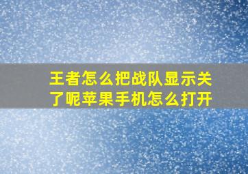 王者怎么把战队显示关了呢苹果手机怎么打开