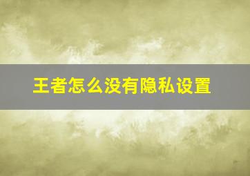 王者怎么没有隐私设置