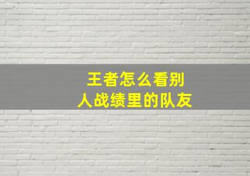 王者怎么看别人战绩里的队友