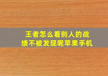 王者怎么看别人的战绩不被发现呢苹果手机