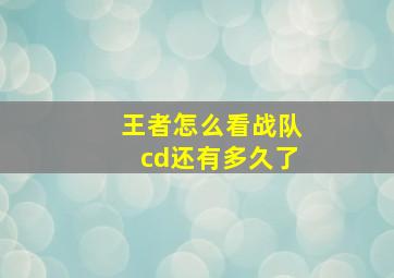 王者怎么看战队cd还有多久了