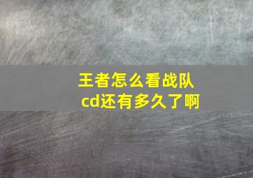 王者怎么看战队cd还有多久了啊