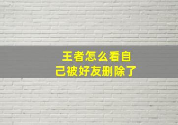 王者怎么看自己被好友删除了