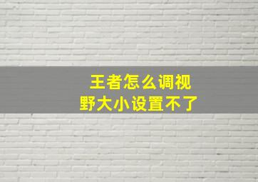 王者怎么调视野大小设置不了