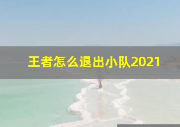 王者怎么退出小队2021