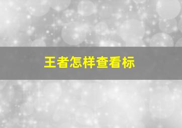 王者怎样查看标