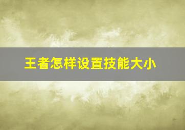 王者怎样设置技能大小