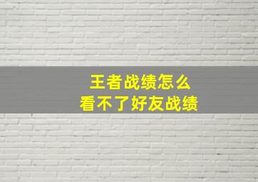 王者战绩怎么看不了好友战绩