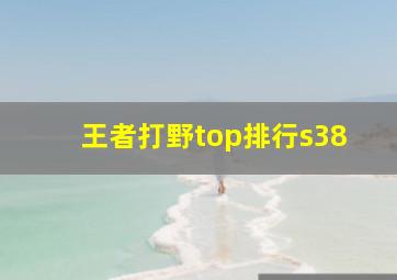 王者打野top排行s38