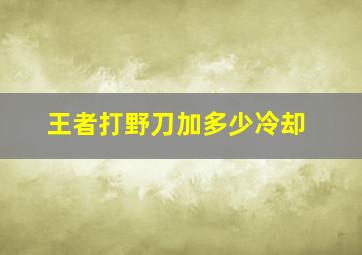 王者打野刀加多少冷却