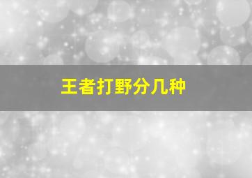 王者打野分几种