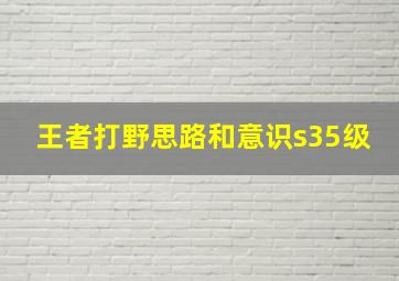 王者打野思路和意识s35级