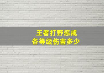 王者打野惩戒各等级伤害多少