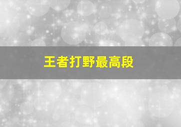 王者打野最高段