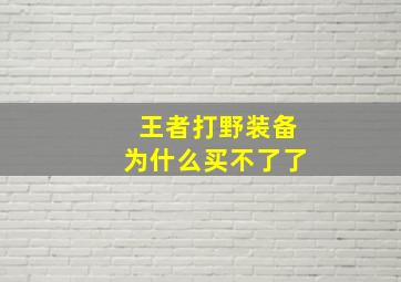 王者打野装备为什么买不了了