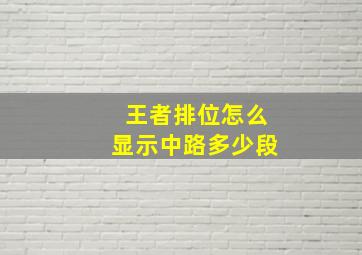 王者排位怎么显示中路多少段