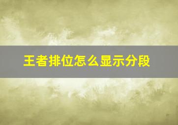 王者排位怎么显示分段