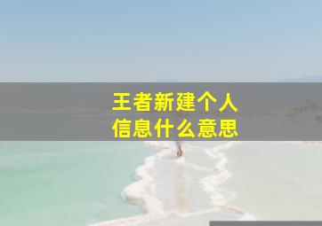 王者新建个人信息什么意思