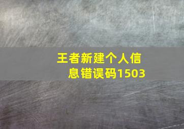 王者新建个人信息错误码1503