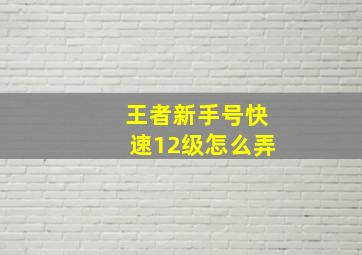 王者新手号快速12级怎么弄