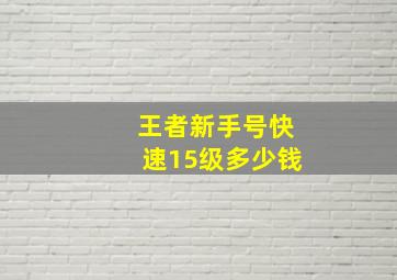 王者新手号快速15级多少钱