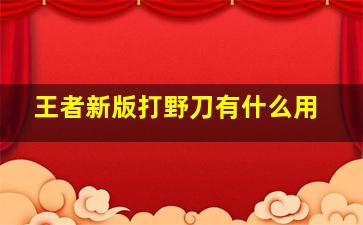 王者新版打野刀有什么用