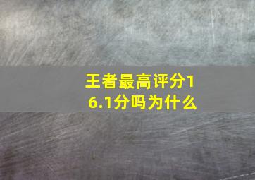 王者最高评分16.1分吗为什么