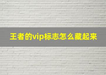 王者的vip标志怎么藏起来