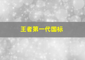 王者第一代国标