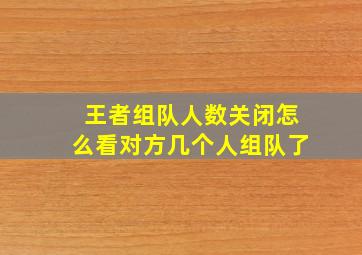 王者组队人数关闭怎么看对方几个人组队了