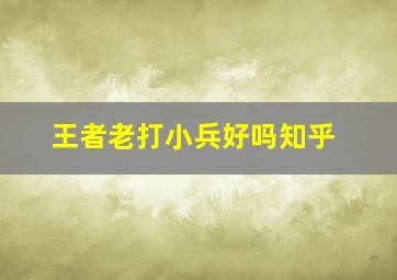 王者老打小兵好吗知乎