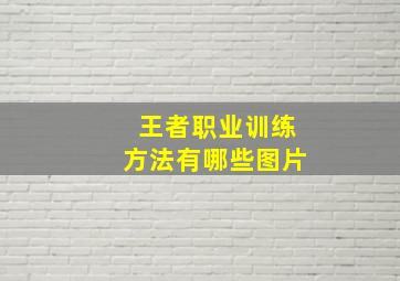 王者职业训练方法有哪些图片