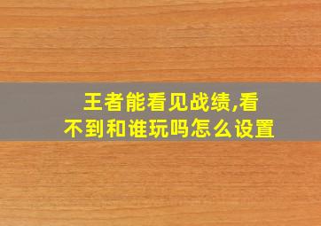 王者能看见战绩,看不到和谁玩吗怎么设置