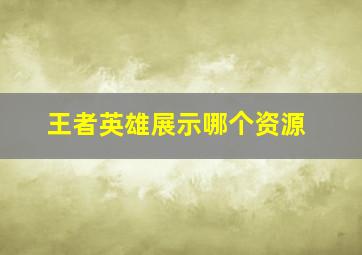 王者英雄展示哪个资源