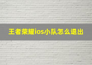 王者荣耀ios小队怎么退出