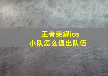 王者荣耀ios小队怎么退出队伍