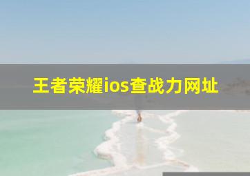 王者荣耀ios查战力网址