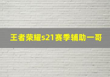 王者荣耀s21赛季辅助一哥